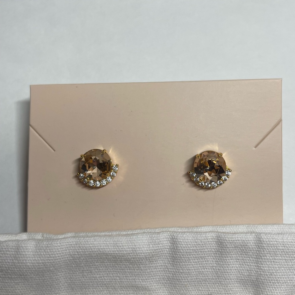 Olive and Piper Chic Gold and Brown Crystal Earrings